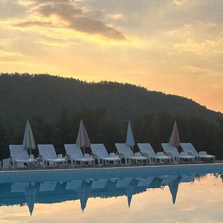 Forest Camp Despotovac Luaran gambar