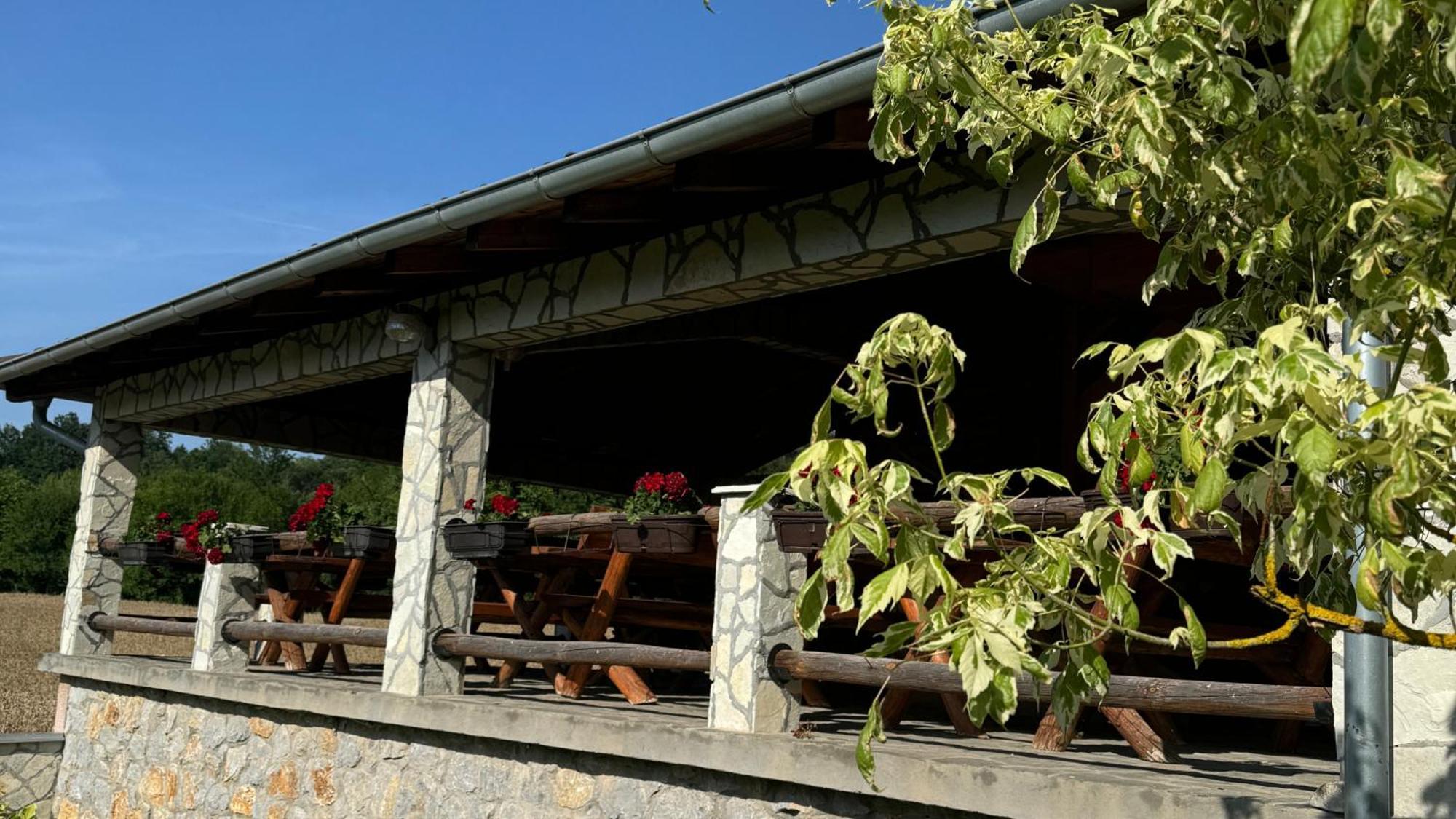 Forest Camp Despotovac Luaran gambar