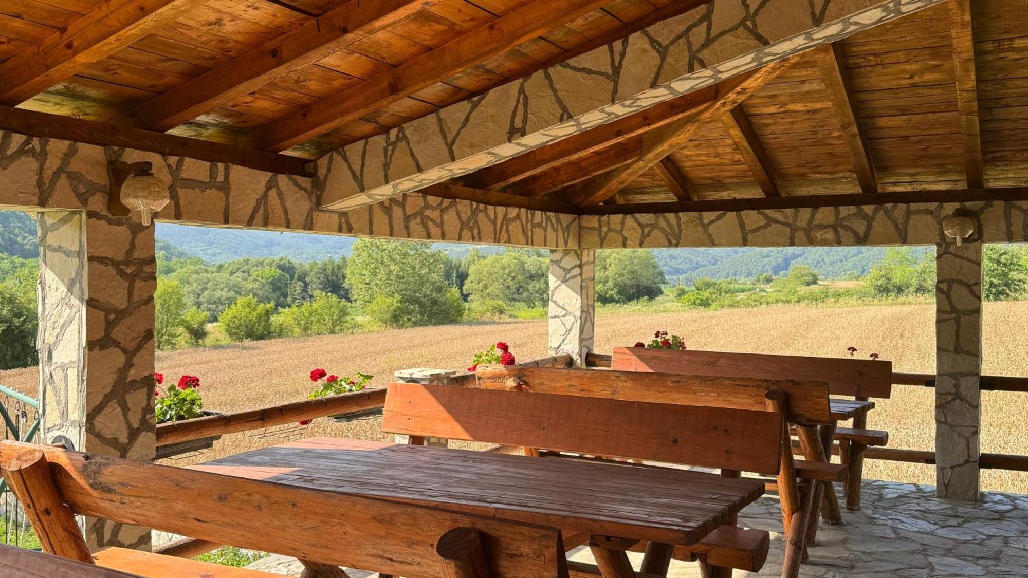 Forest Camp Despotovac Luaran gambar