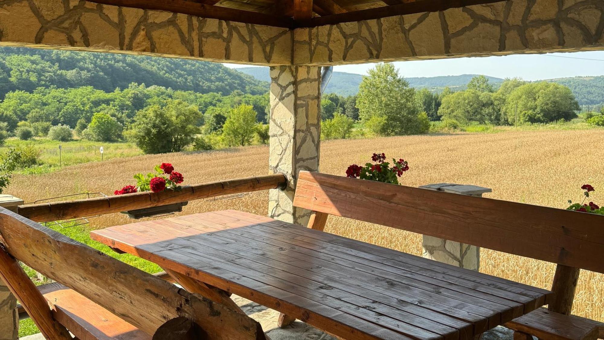 Forest Camp Despotovac Luaran gambar