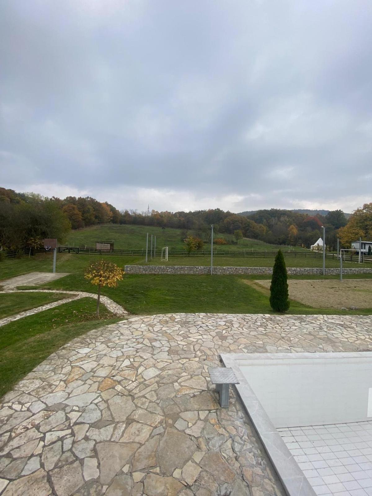 Forest Camp Despotovac Luaran gambar