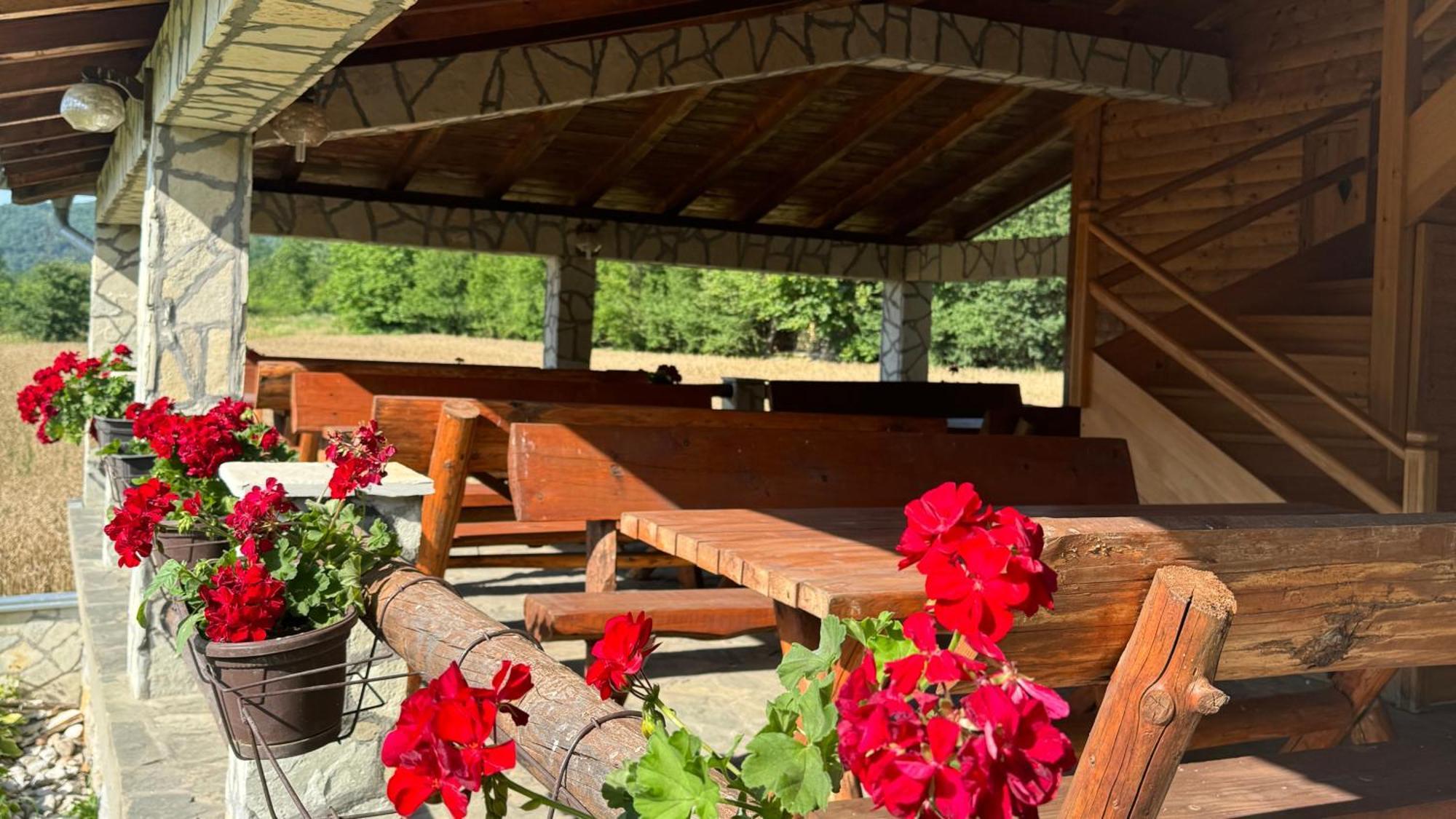 Forest Camp Despotovac Luaran gambar